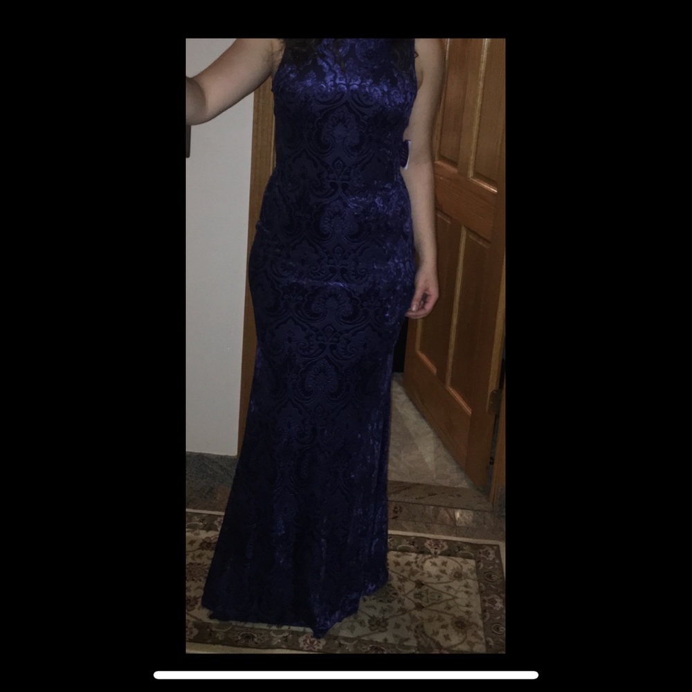 Navy Sheer Back Dress Velvet